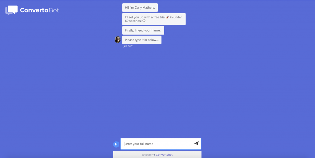 chatbot website or conversation landing page